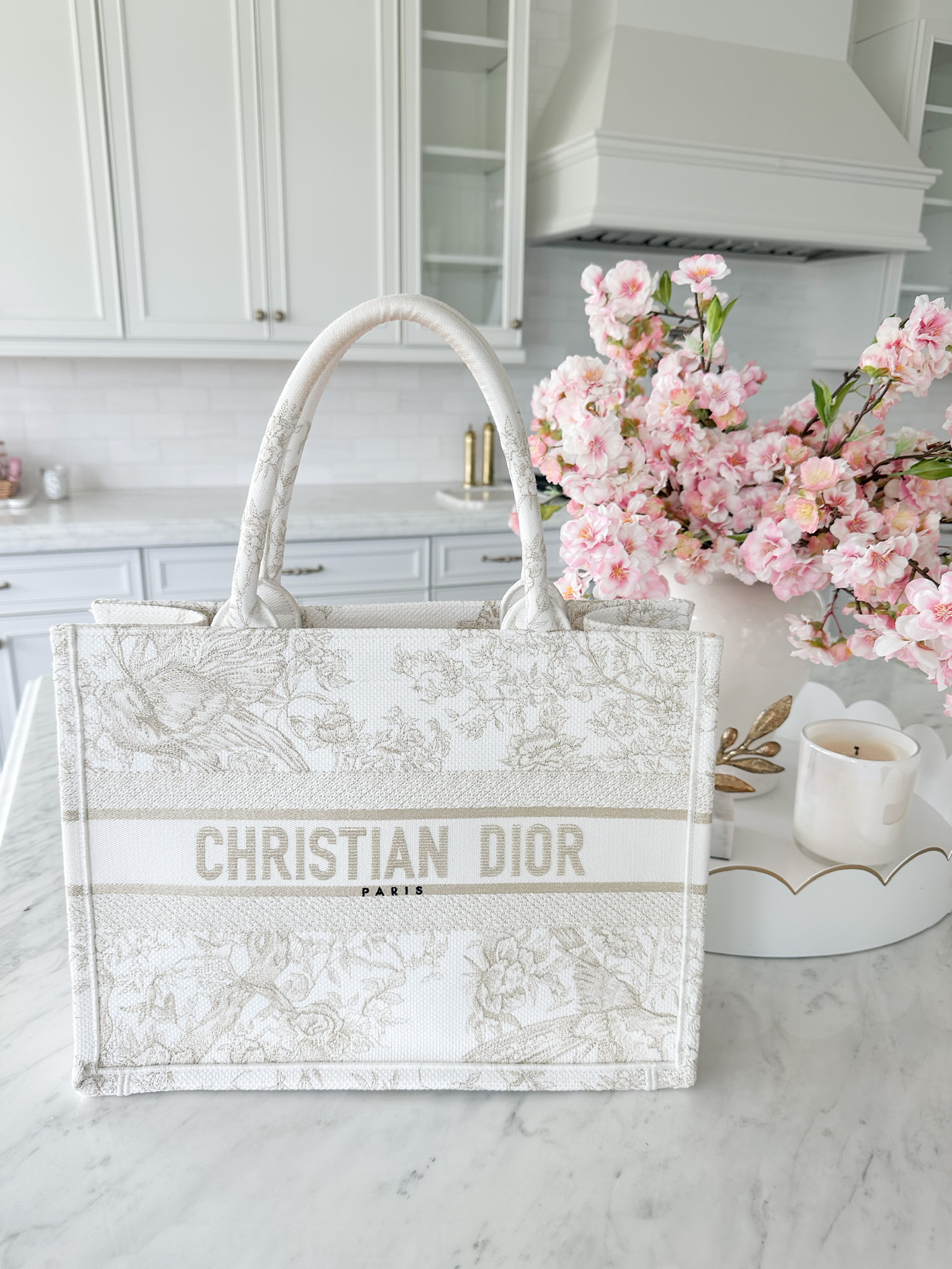 Christian Dior Book Tote Logo Totes, White